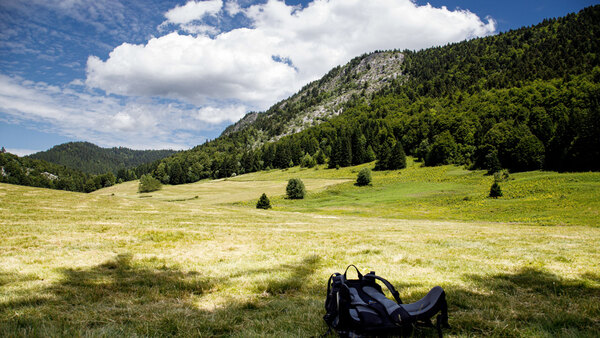 Herbouilly