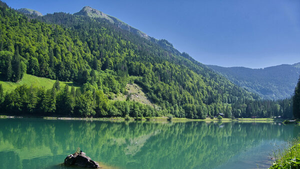 Montriond