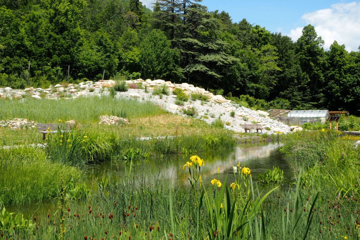 Alpine garden of Charance in Gap (05)
