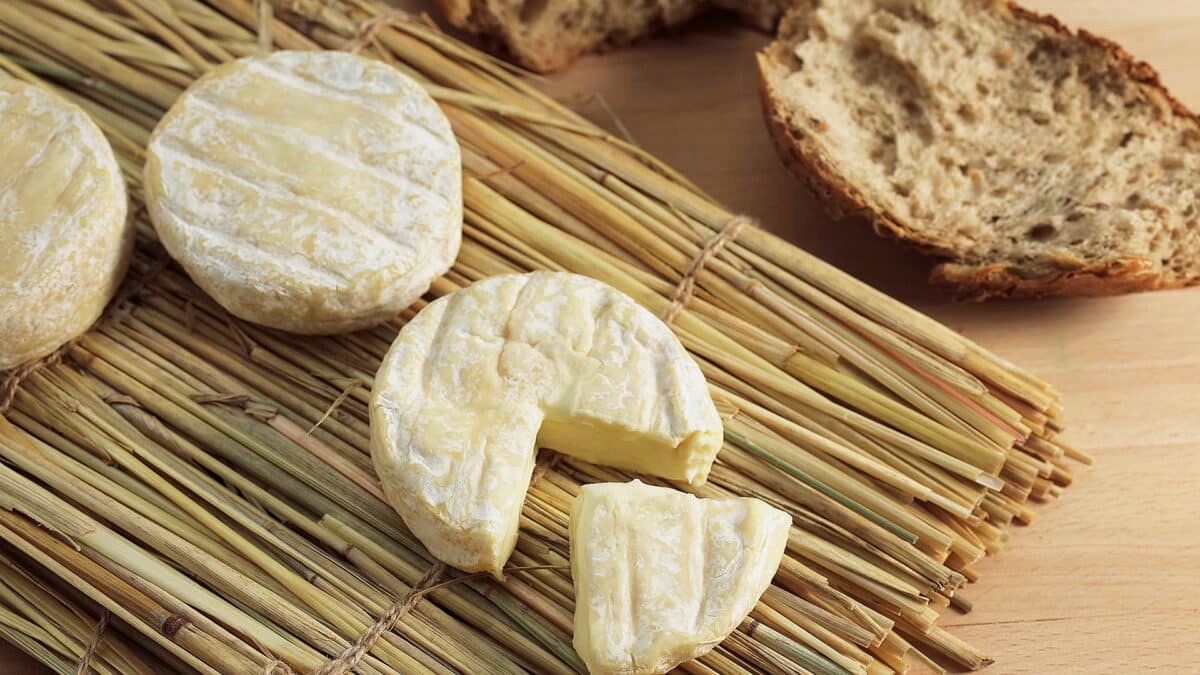 Saint-Marcellin IGP — liquid-hearted soft cheese from the western Isère