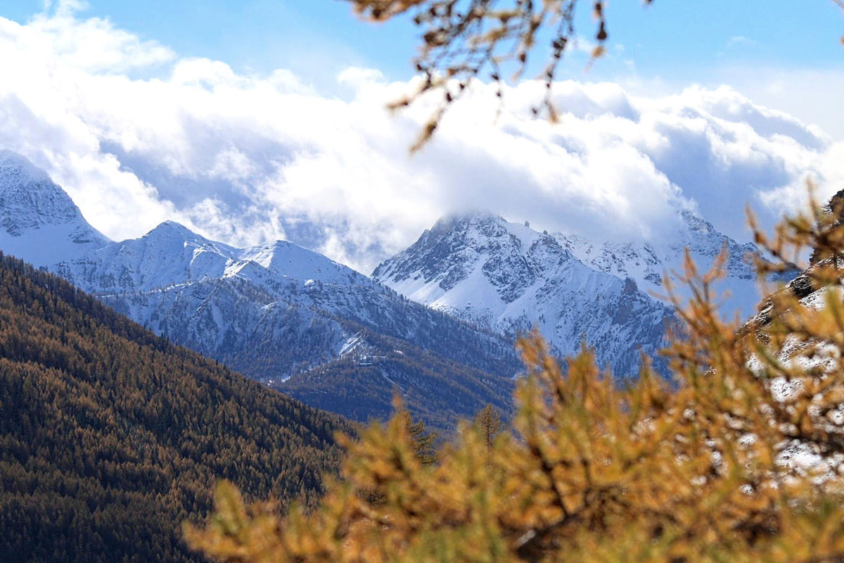 couleurs d'automne en montagne